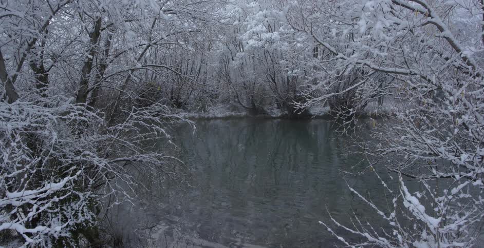 A pond is surrounded by snow covered trees