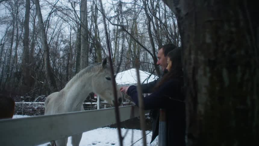 A man and women are petting a horse as it snows