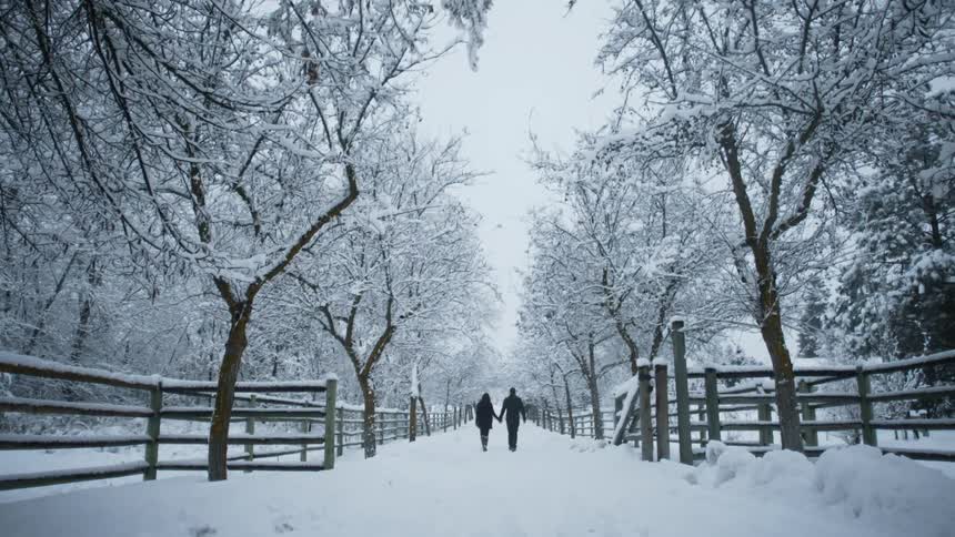 Two people walk down a snowy path holding hands