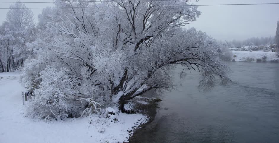 Snow covered forest leads to a lake