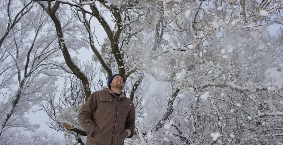 A person shaking snow off of a tree