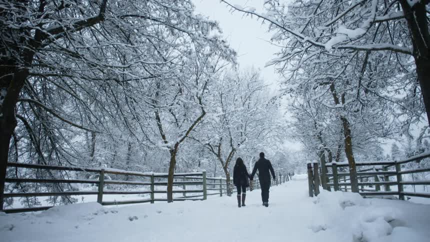 A man and woman holds hands while they walk down a snowy lane