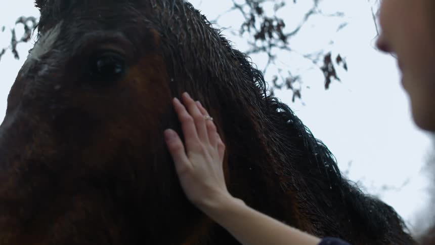 Snow falls on a horse while a woman pets its head