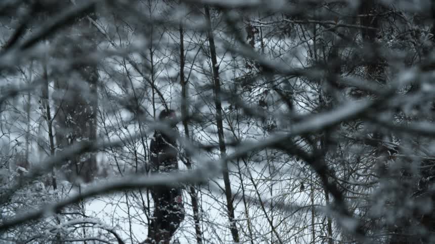 Wintertime