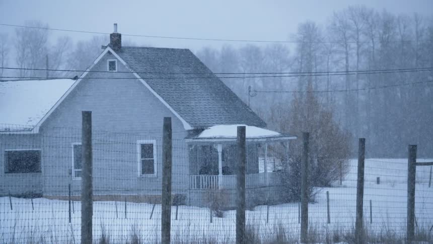 View of a home as it snows heavily all around
