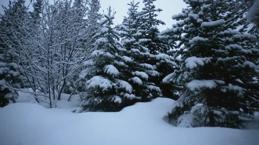 Wintertime