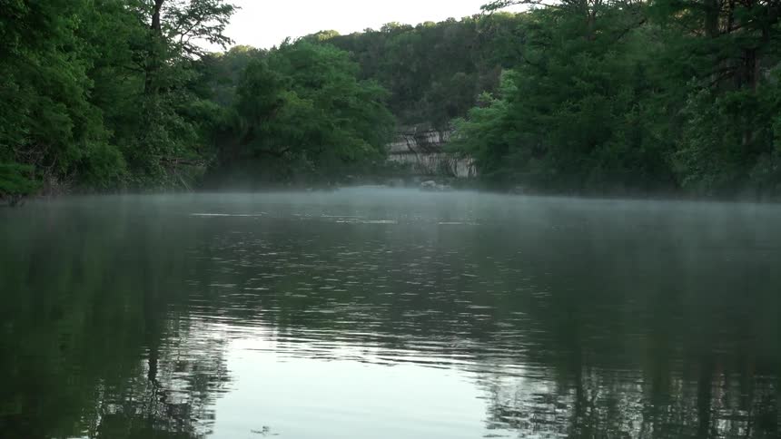 Mist rises off the water between the trees