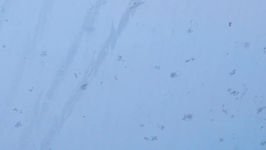 Snow falls on a window