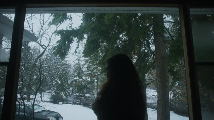 A woman is standing near a large window looking at the snow outside