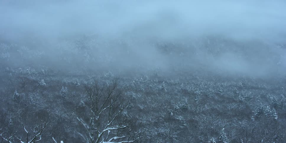 A foggy frozen tundra