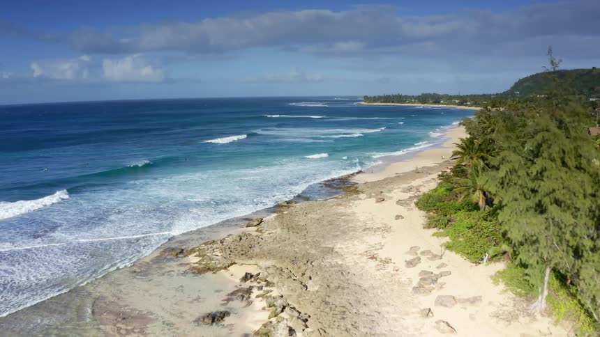 Ocean waves curl and break near the sandy coast with palm trees and homes
