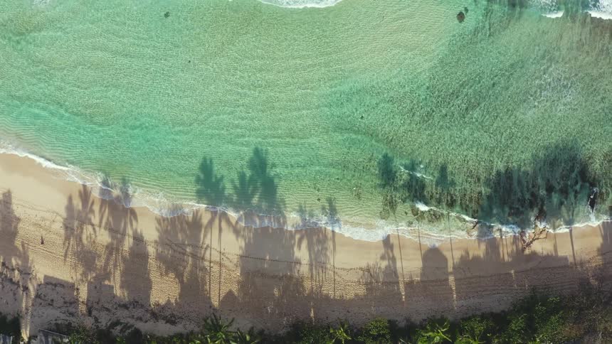 Sun casts shadows of palm trees near home across beach as waves roll onto sand