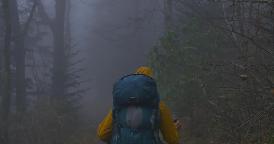 A backpacker using poles hiking on a foggy trail
