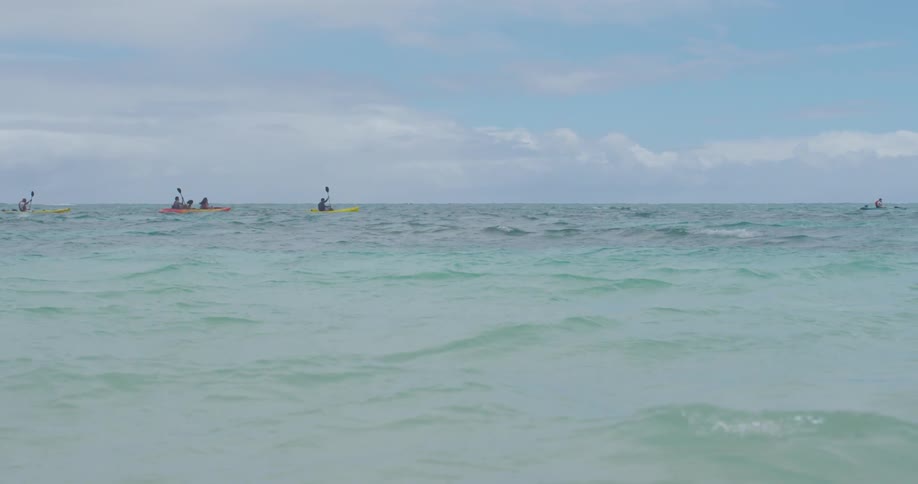 People are rowing in canoes in the ocean