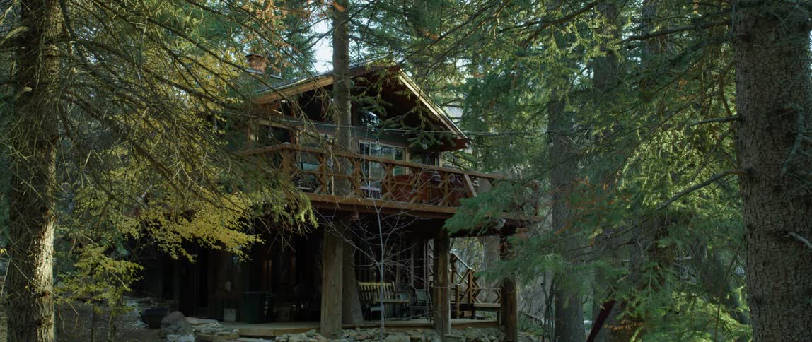 Tall trees surround a two story cabin in the woods