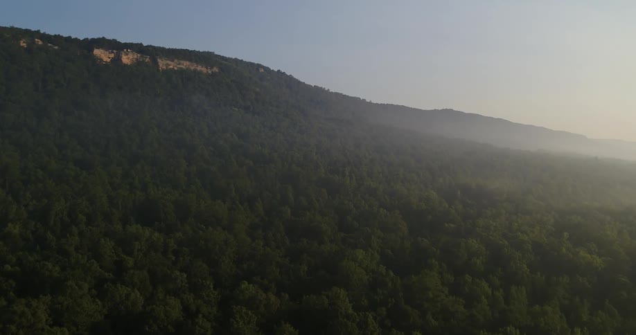 An aerial view of a forest at the base of a mountain