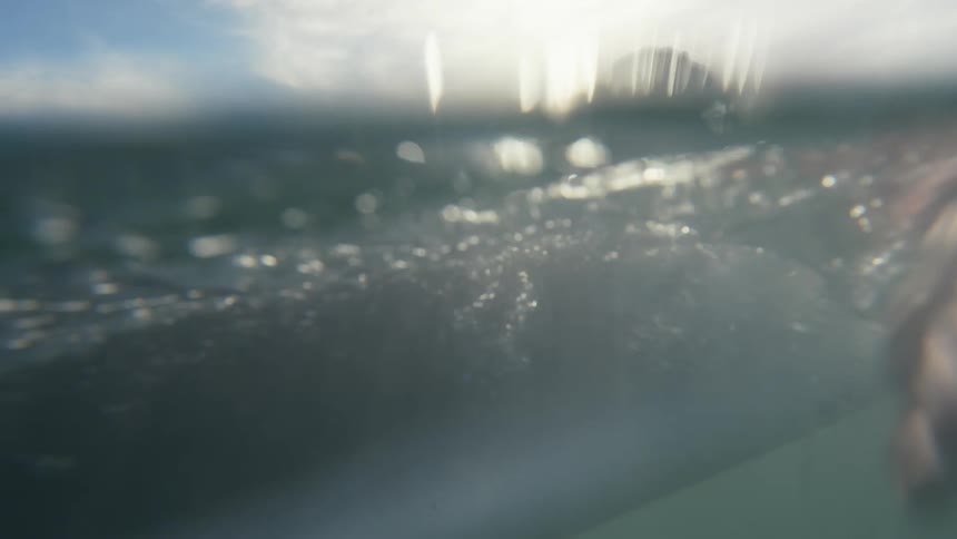 A man in the ocean paddles out on his surf board