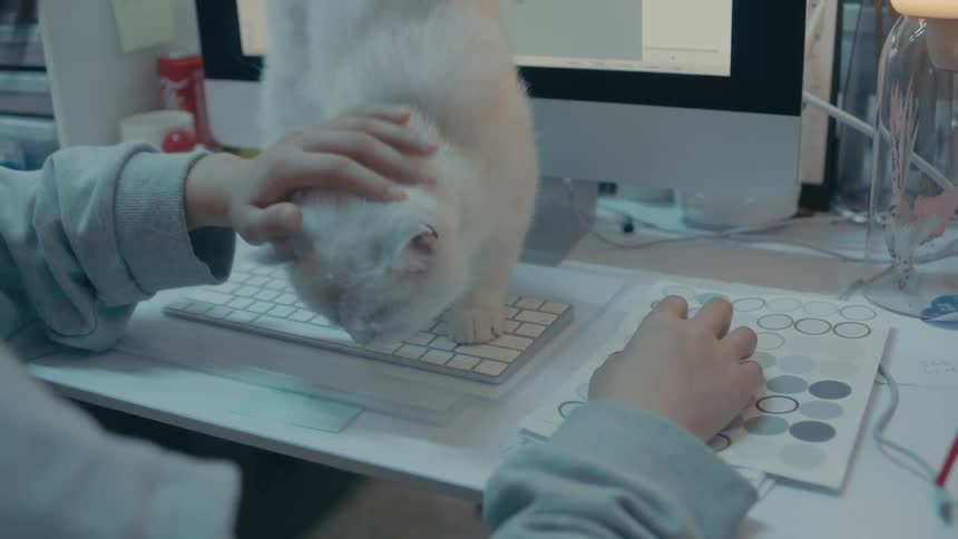 A woman is petting a cat that is standing on her computer keyboard
