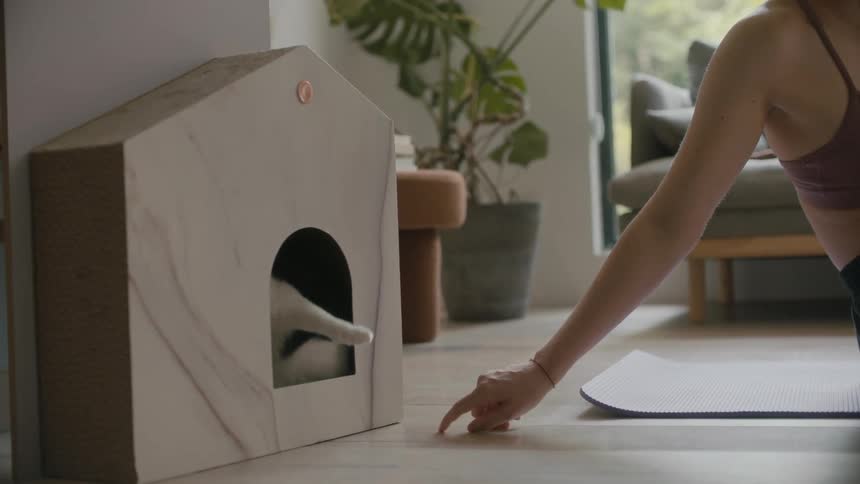 A woman playing with a cat