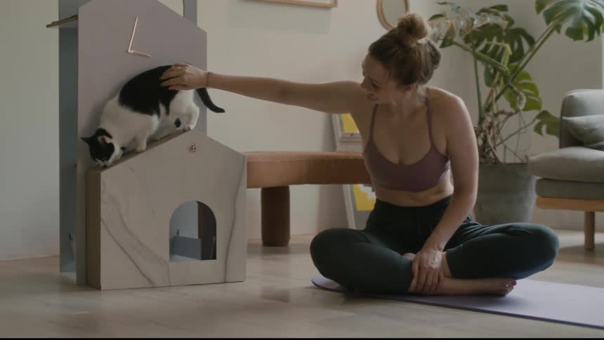 Female clapping cat on yoga mat