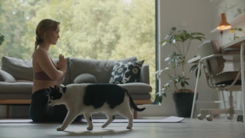Woman sits cross legged on yoga mat in living room as cat pads by