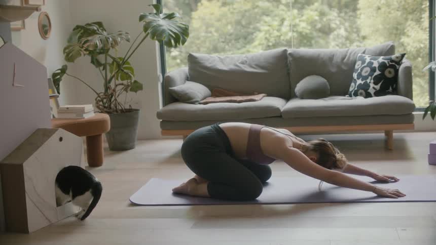 Young woman working out over a mat on the floor of an apartment next to her pet cat