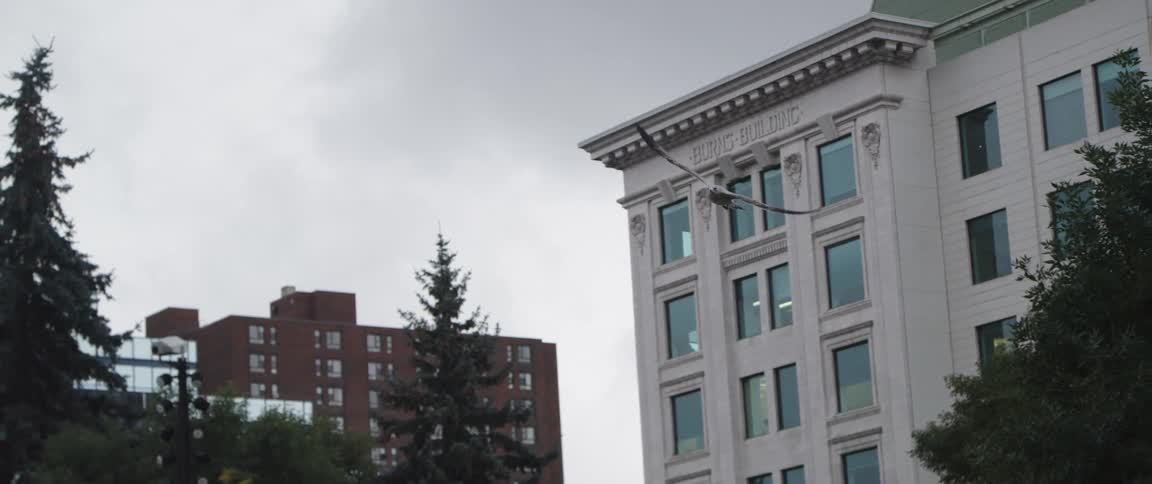 A view of a bird flying around in a city