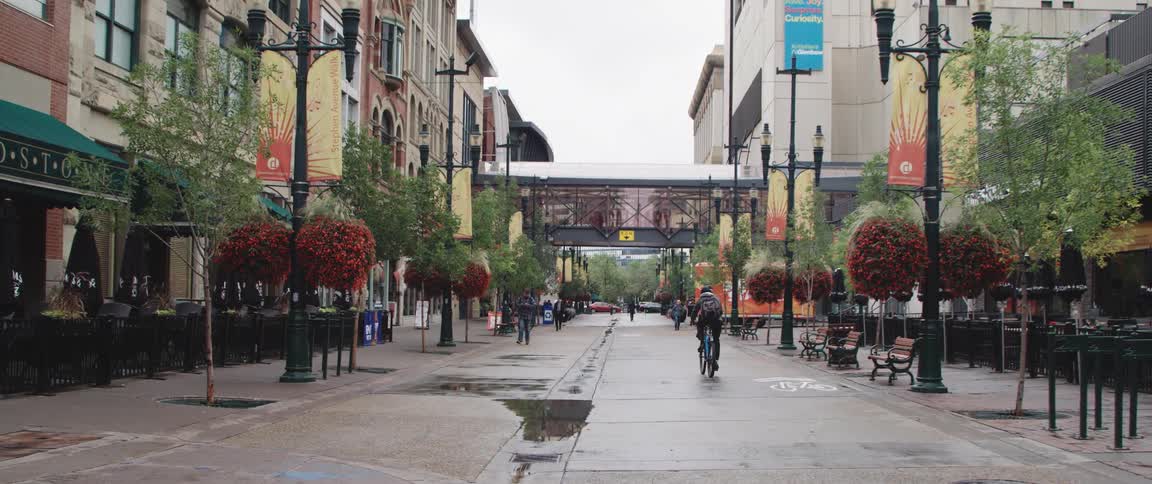 A man rides his bicycle down a quiet tree lined city street