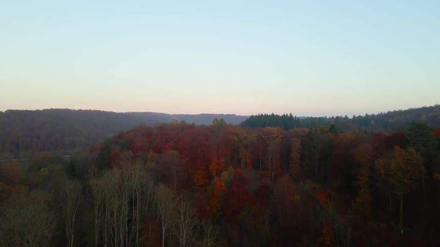 Aerial view of the trees at fall in a forest on the hills in the morning