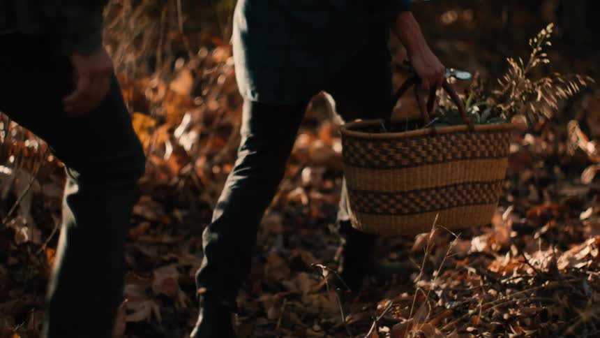 Two people walk on a forest trail covered in fallen leaves one carrying a basket and pruning shears