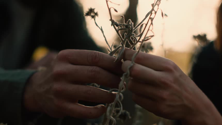 Man and woman cut plant with pair of scissors