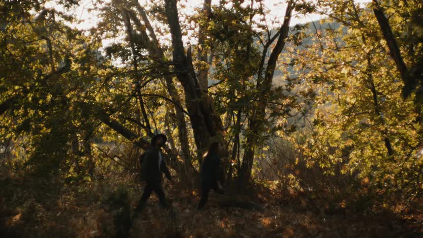 A man and woman carrying a basket are walking on a mountain pathway during the fall season in the daytime