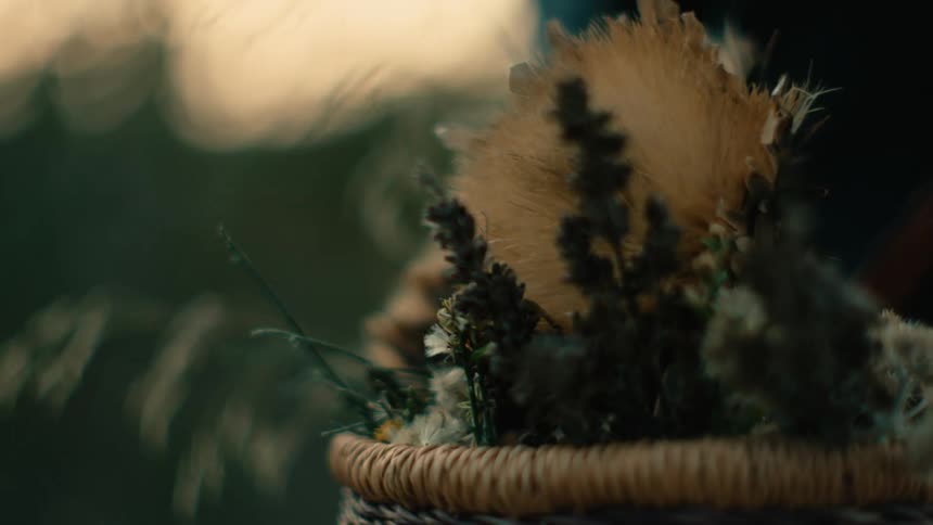 Flowers and plants in a wicker basket