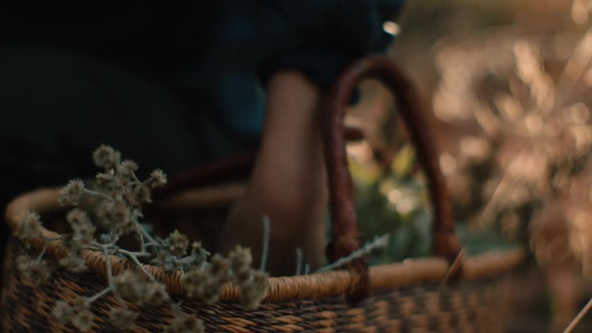 A woman is standing outside in a woodland area and gathering wildflowers into a wicker basket during the fall season