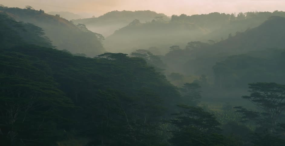The heavy fog is covering the mountains