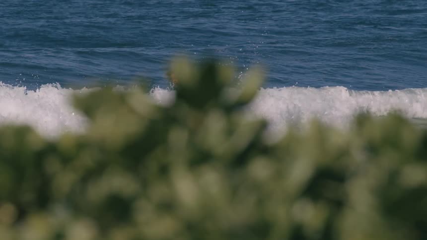 A boy surfing pop up above the green leaves on shore