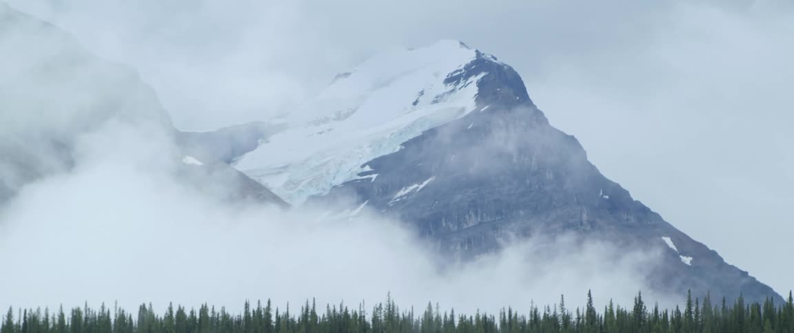 Pine tree forest in front of the tall mountain covered in snow behind the clouds
