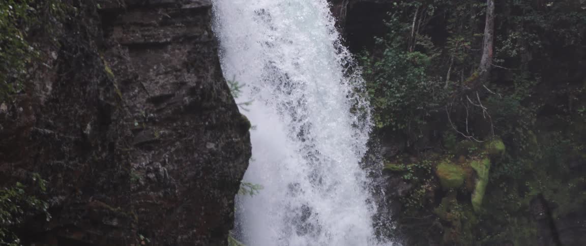 Water falls down cliff side past tree clinging to side showing exposed roots