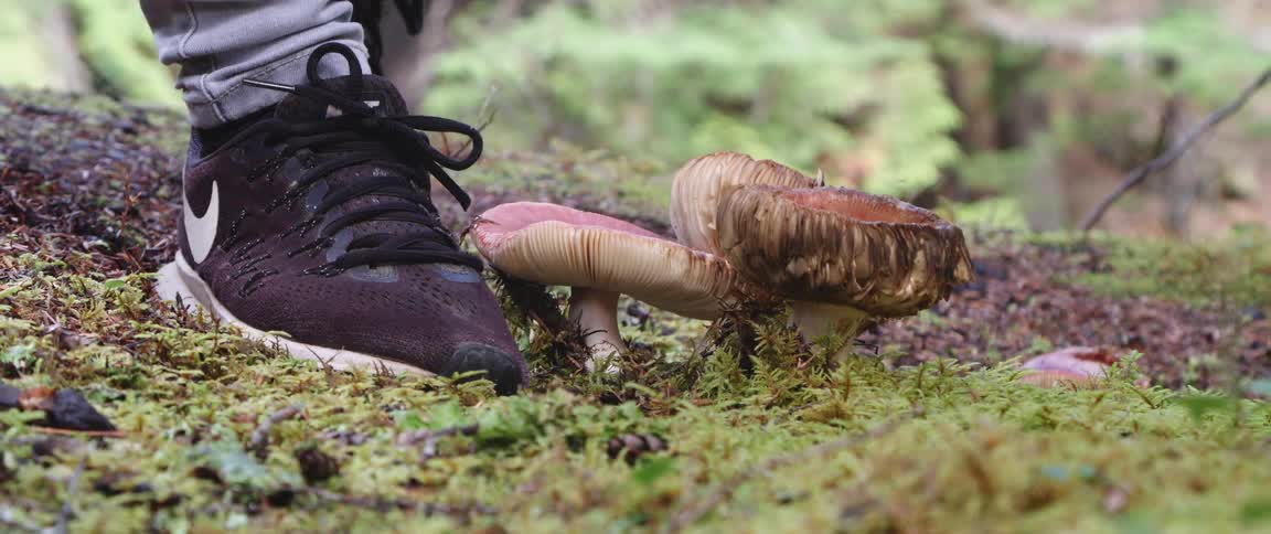 A person steps over the mushroom