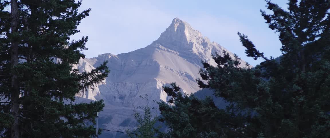 Snow covered mountain with a peak high in the sky seen between pine trees