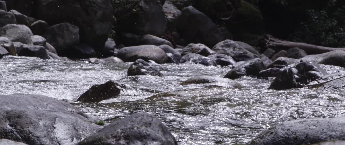 The river water moves fast over the rocks