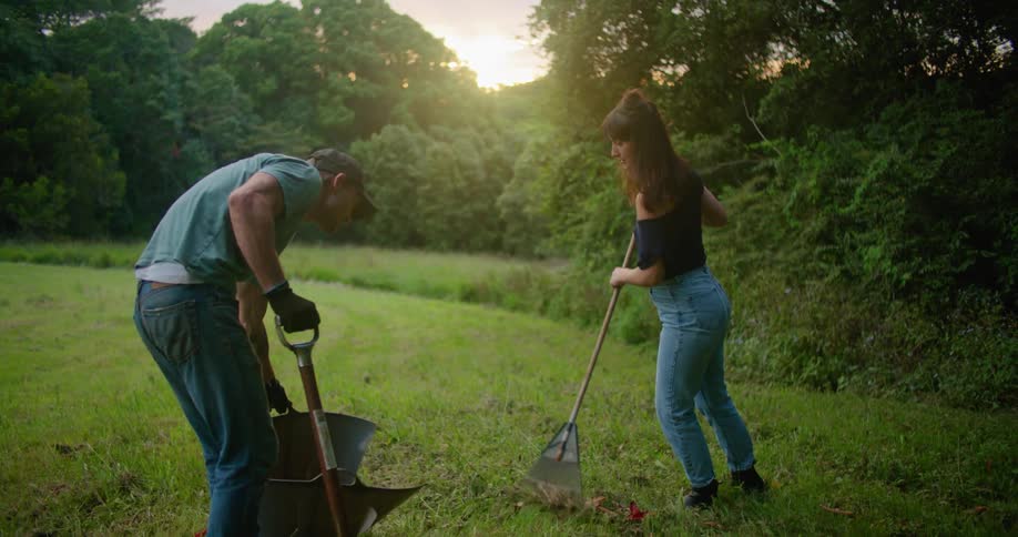 Two people are clearing leaves in the yard