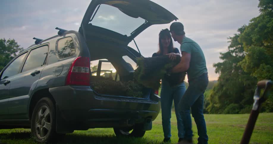 Young couple unloading rolls of grass from the back of a car on a field at sunset