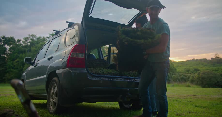 A man and woman take sod out of the back of a car
