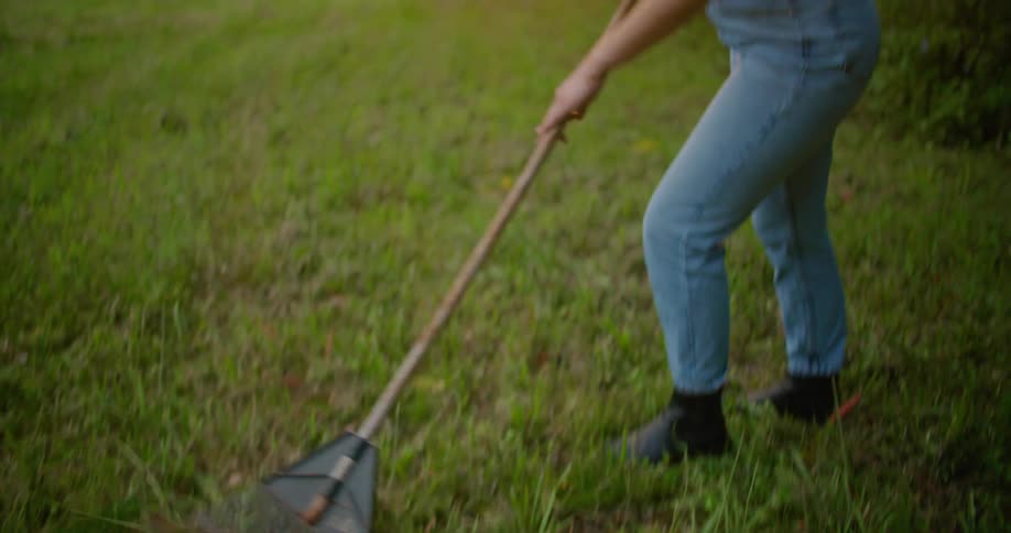 A woman is raking leaves in the yard