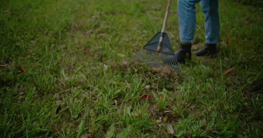 A woman uses a rake in a large open rural lawn