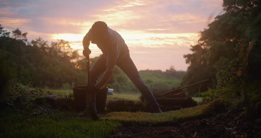 A man digs a large hole in a rural lawn