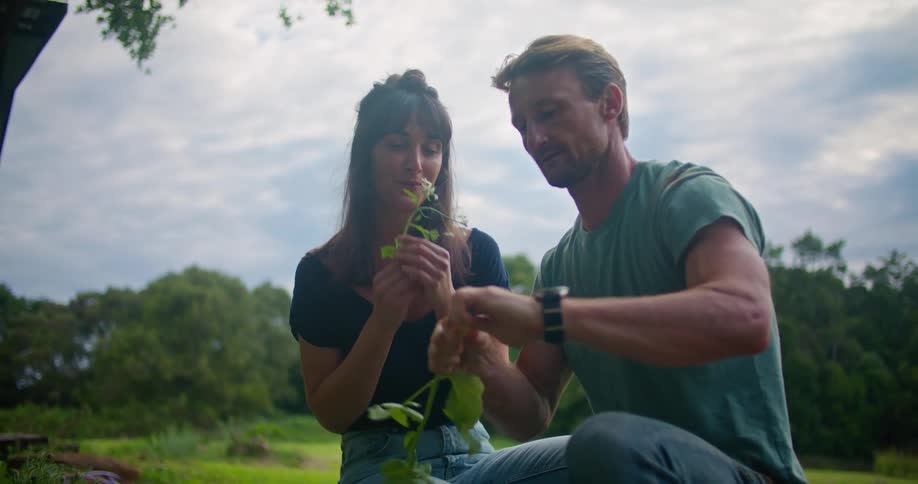 Young couple harvesting produce from the garden in the backyard