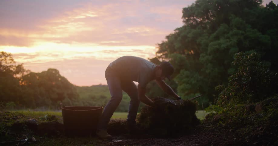 A man lays sod in a grassy area