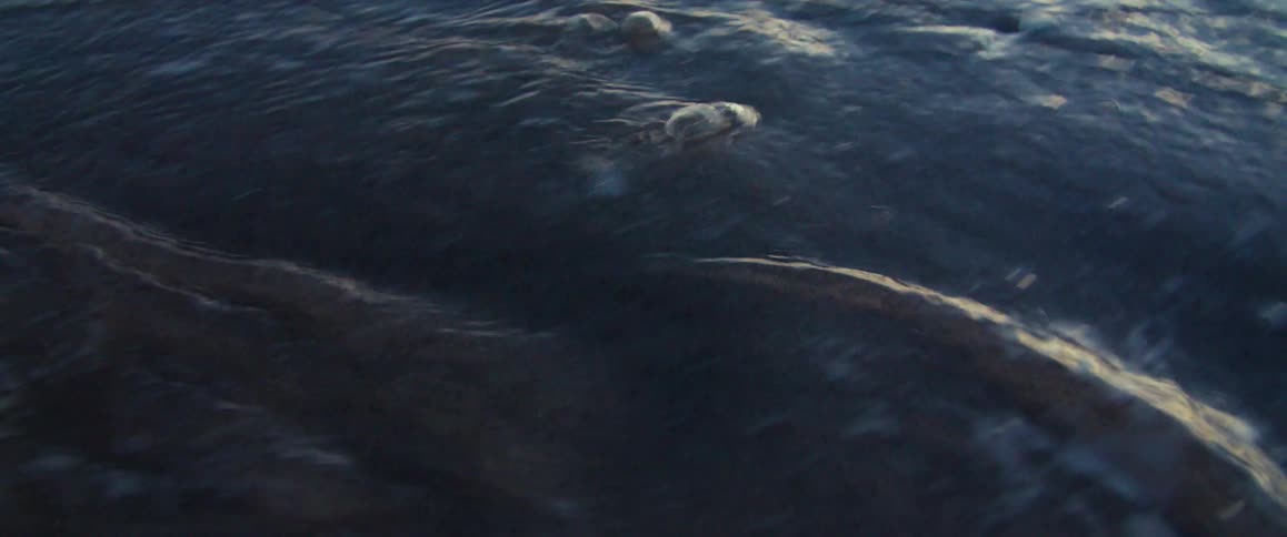Ocean water is flowing onto a beach and bubbling into the sand